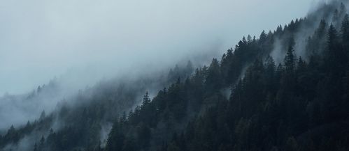 福建北峰通信科技股份 专注对讲机,dmr pdt对讲机,公网对讲机,模拟对讲机,数字集群通信产品及解决方案.